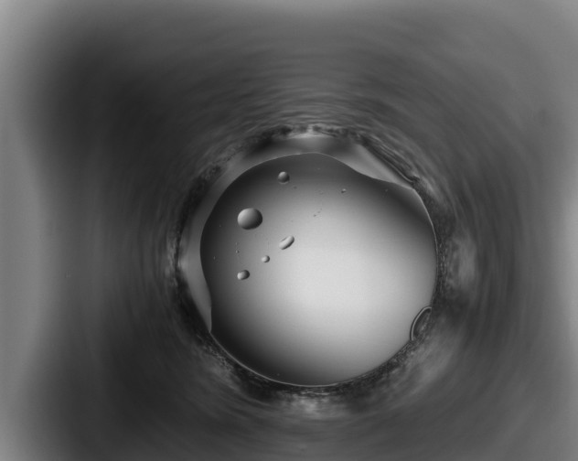 X0000087690420200705111324