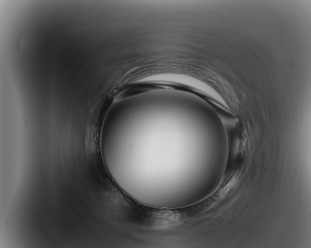 X0000087690421200705111324