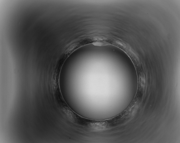 X0000087690422200705111324