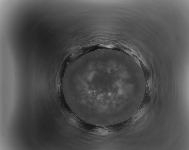 X0000087690423200705111324