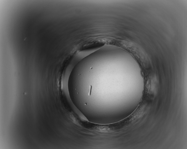 X0000087690424200705111324