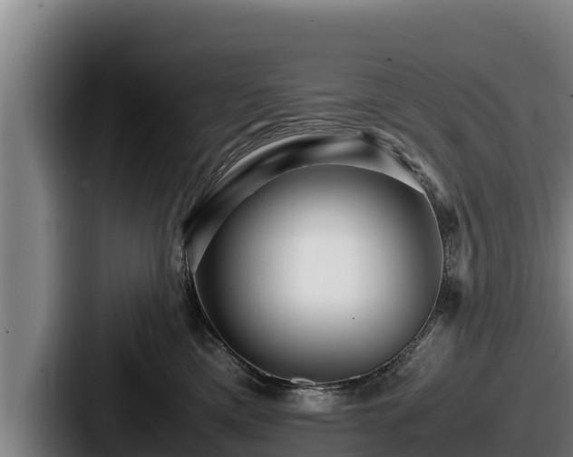 X0000087690425200705111324
