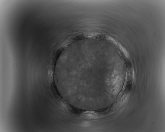 X0000087690427200705111324