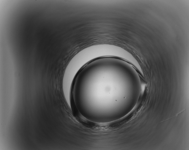 X0000087690428200705111324