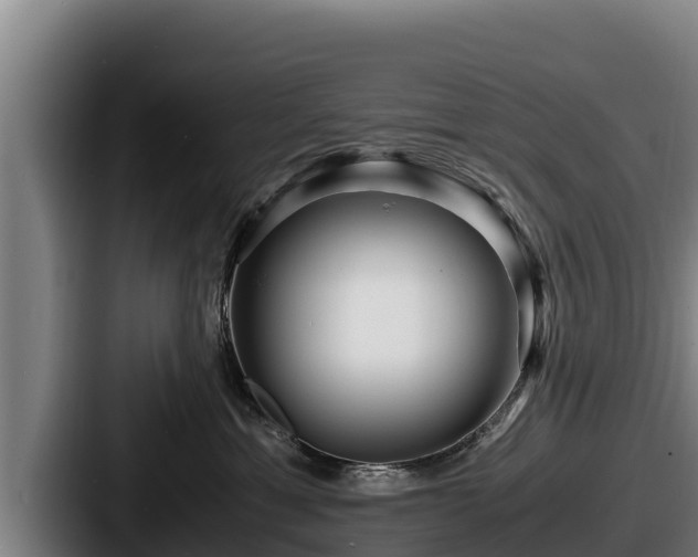 X0000087690429200705111324