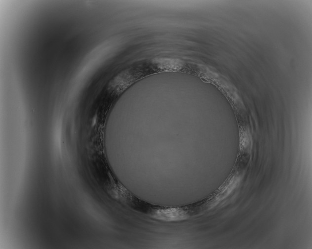 X0000087690431200705111324
