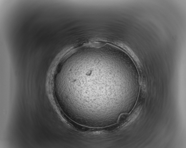 X0000087690433200705111324