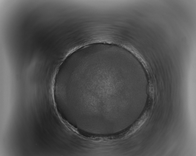 X0000087690434200705111324