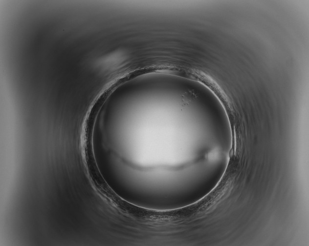 X0000087690435200705111324