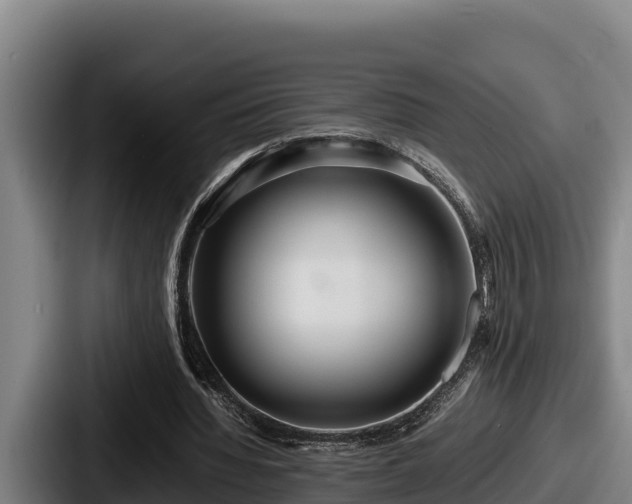 X0000087690436200705111324