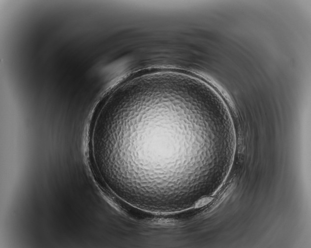X0000087690437200705111324