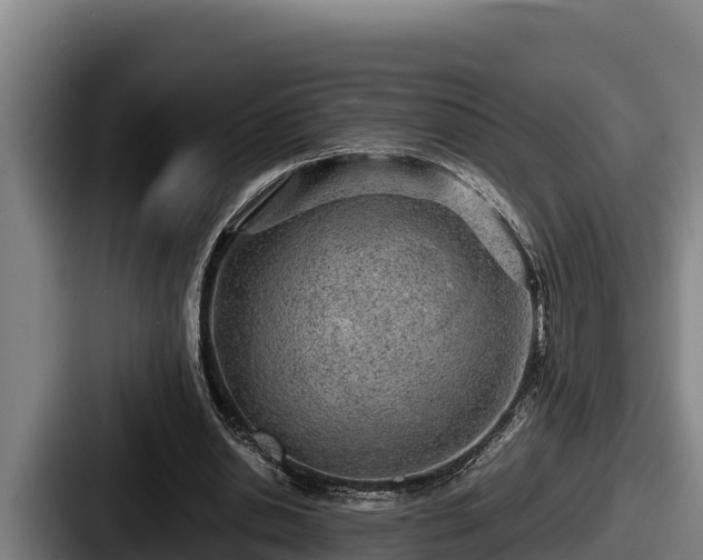 X0000087690438200705111324