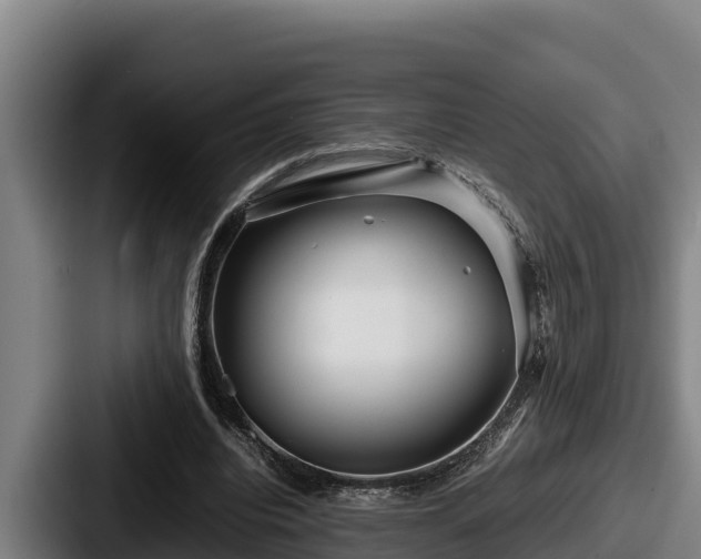 X0000087690440200705111324