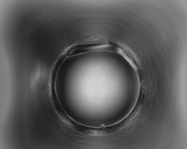 X0000087690442200705111324