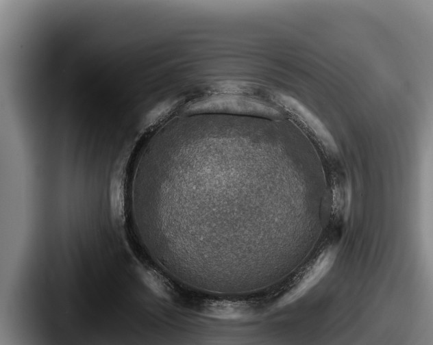 X0000087690444200705111324