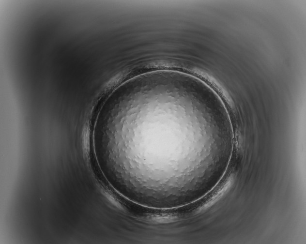 X0000087690445200705111324