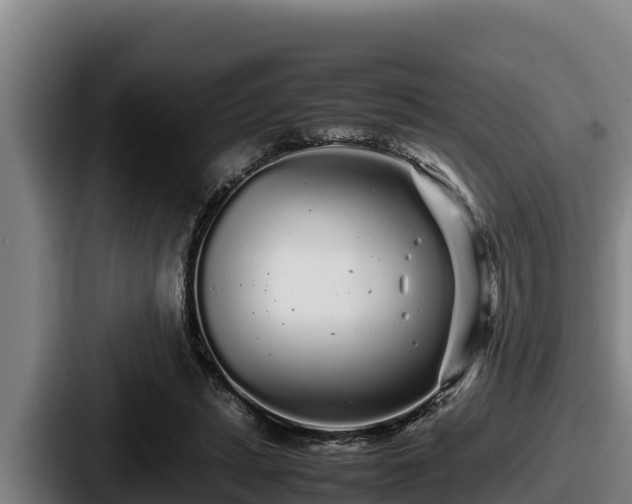 X0000087690447200705111324