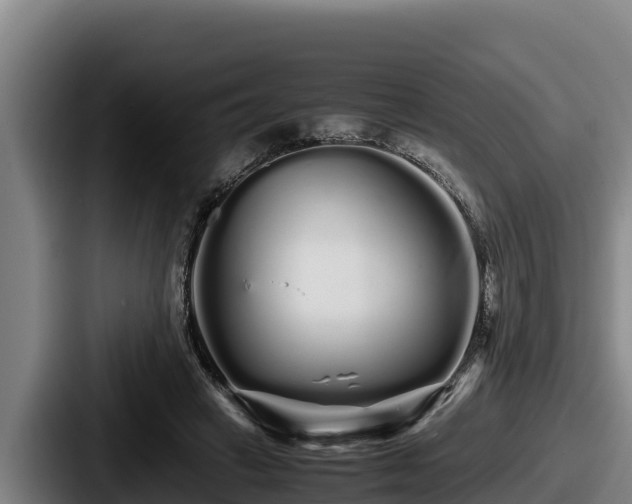 X0000087690449200705111324