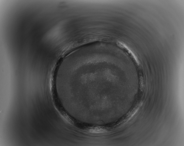 X0000087690451200705111324