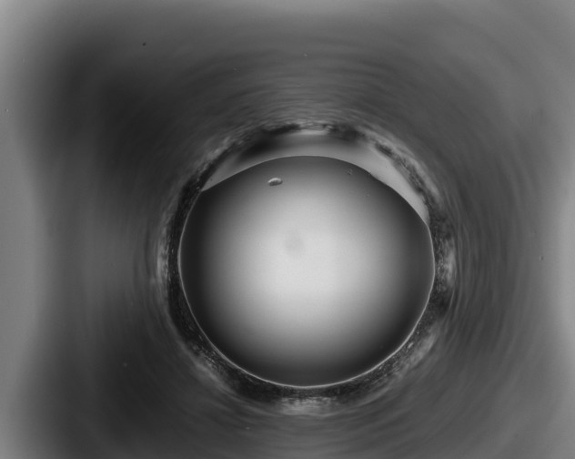 X0000087690452200705111324