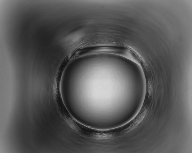 X0000087690453200705111324