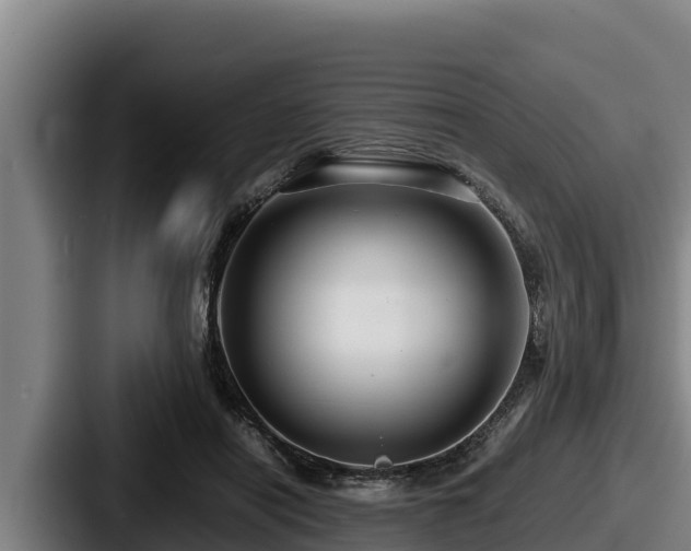 X0000087690454200705111324