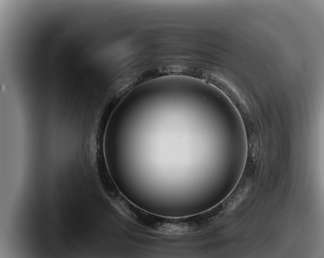 X0000087690455200705111324