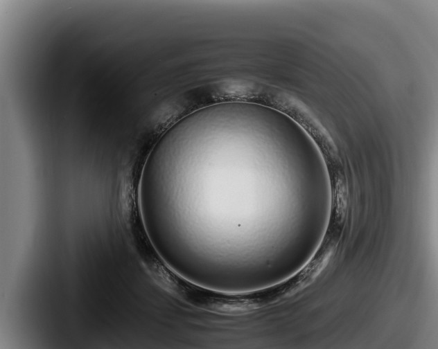 X0000087690459200705111324