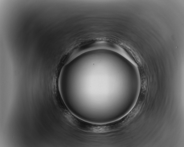 X0000087690461200705111324