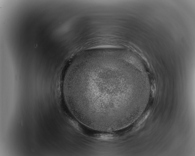 X0000087690462200705111324