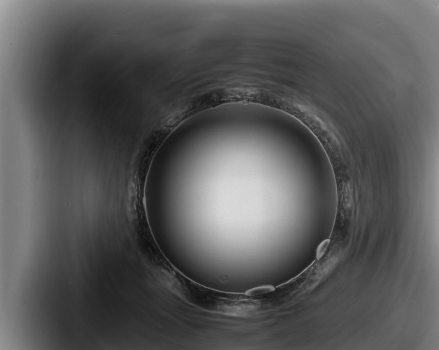 X0000087690463200705111324