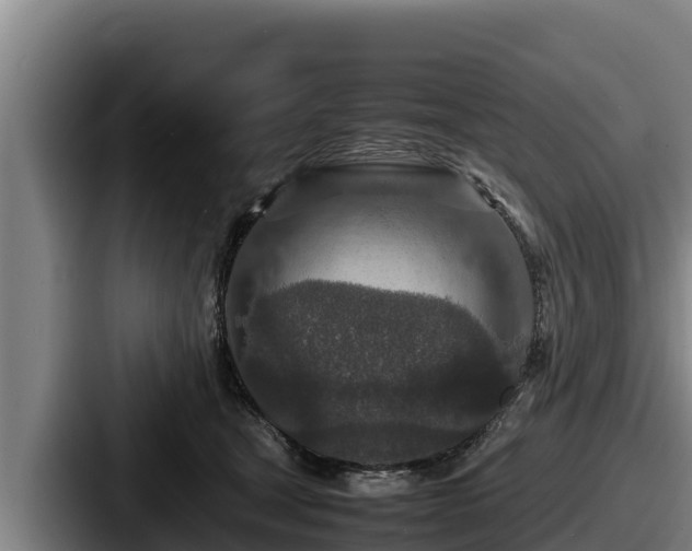 X0000087690465200705111324