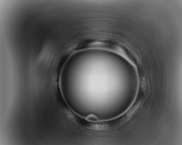 X0000087690466200705111324