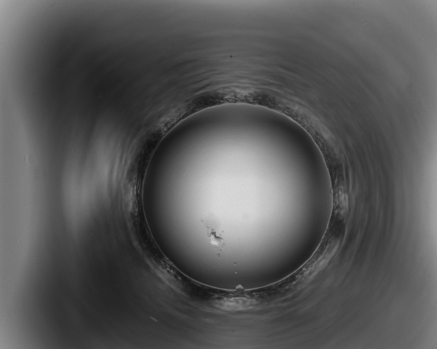 X0000087690468200705111324