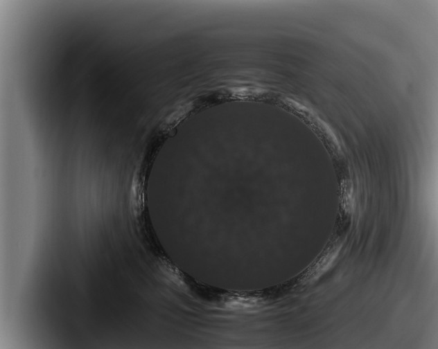 X0000087690471200705111324