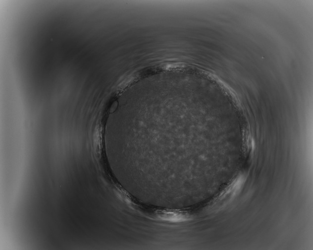 X0000087690475200705111324