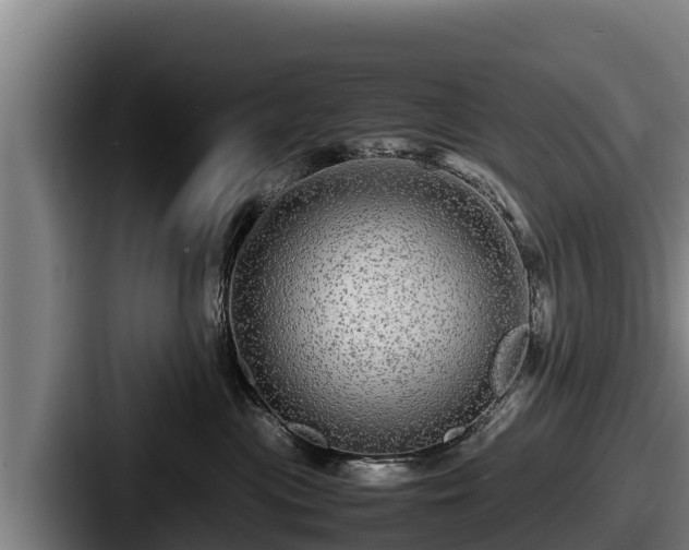 X0000087690477200705111324