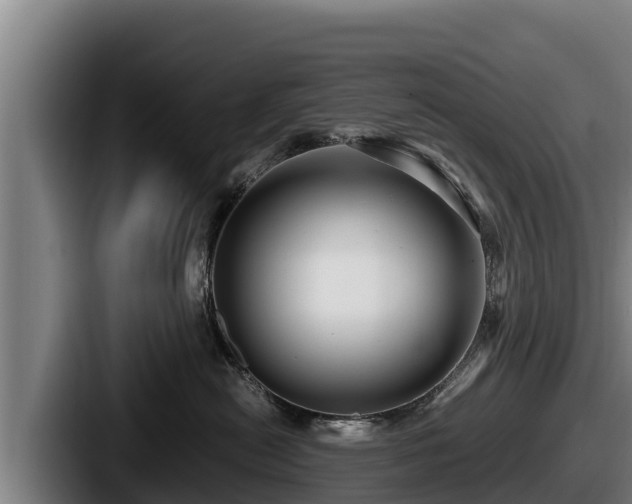 X0000087690478200705111324