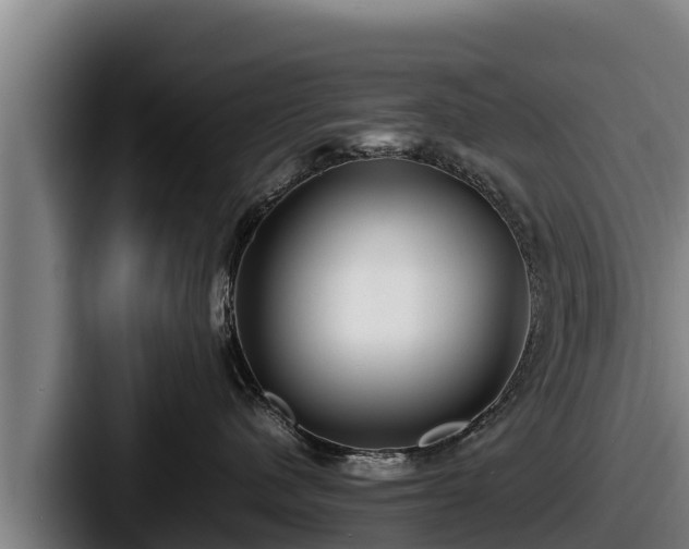 X0000087690480200705111324