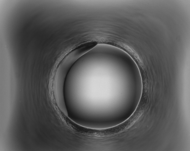 X0000087690481200705111324