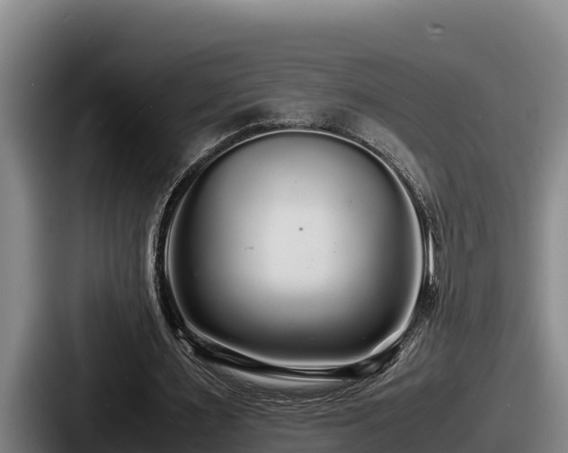 X0000087690483200705111323