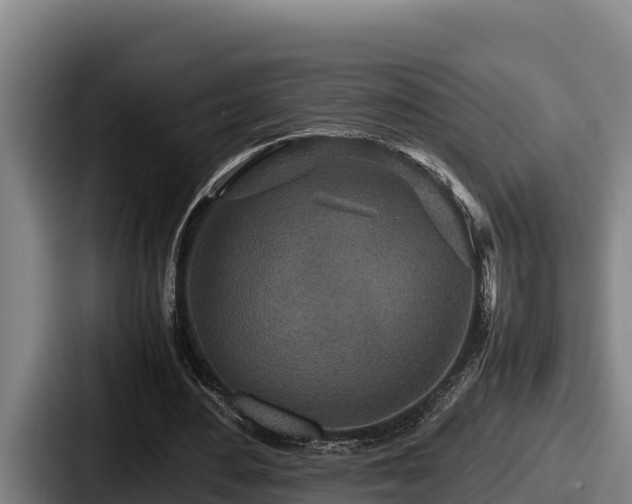 X0000087690484200705111323