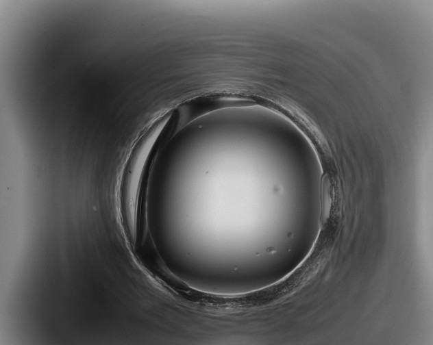 X0000087690485200705111323