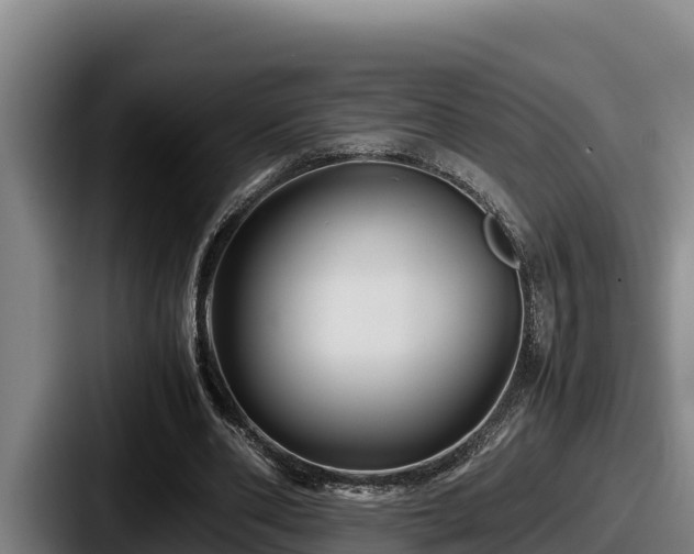X0000087690486200705111323