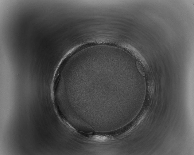 X0000087690488200705111323