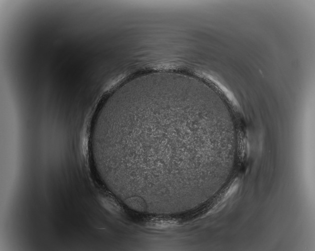 X0000087690491200705111323