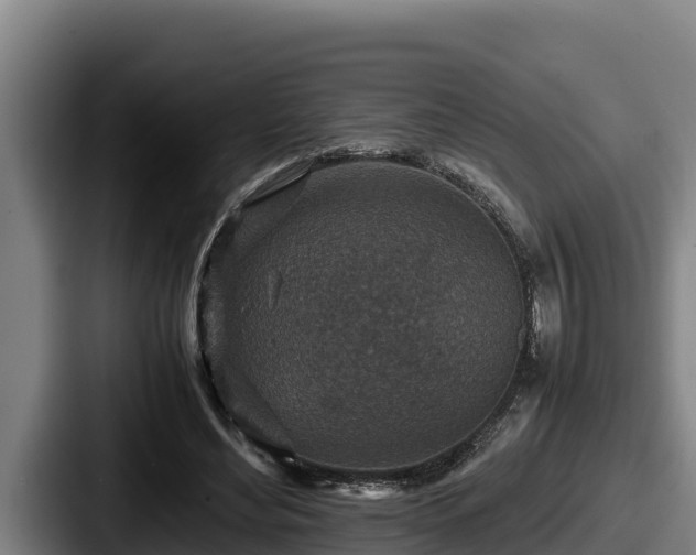 X0000087690492200705111323