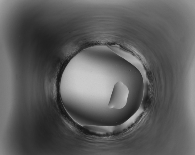 X0000087690493200705111323