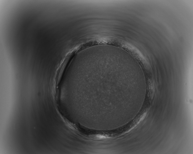 X0000087690496200705111323