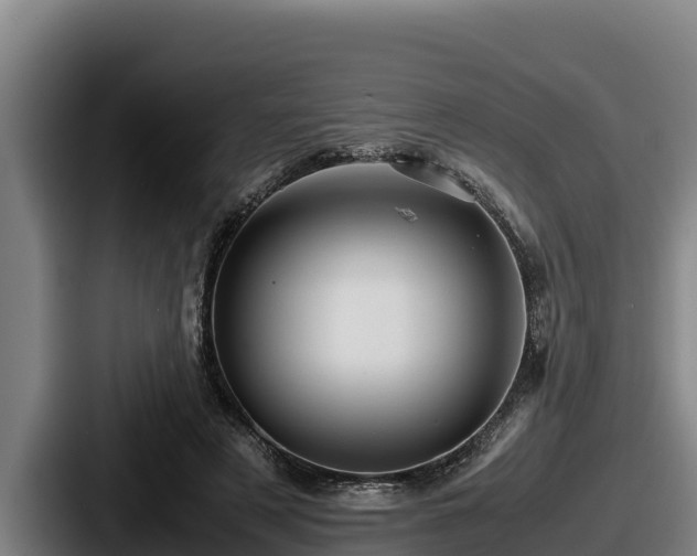 X0000087690497200705111323